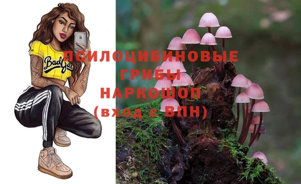 меф Майский