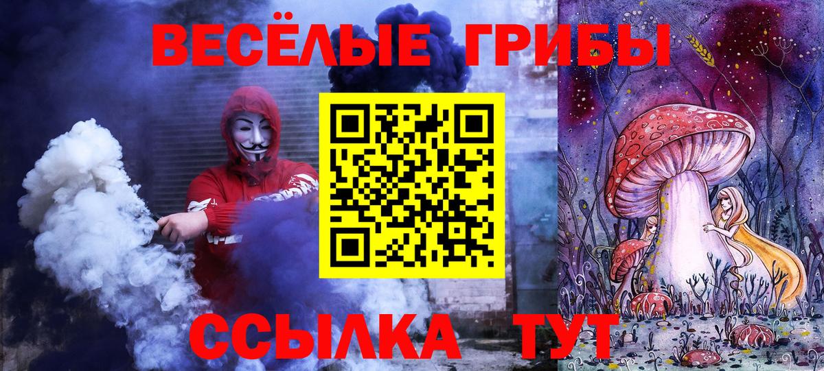 сколько стоит  Нововоронеж  Галлюциногенные грибы GOLDEN TEACHER 