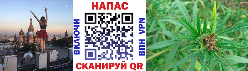 Шишки марихуана Amnesia  Нововоронеж 