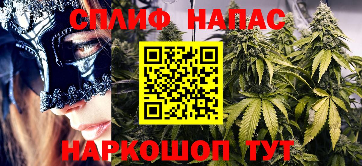 Бошки Шишки семена  Бошки Шишки ГИДРОПОН  Канабис VHQ  Нововоронеж 